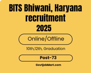Read more about the article BITS Bhiwani Recruitment 2025
